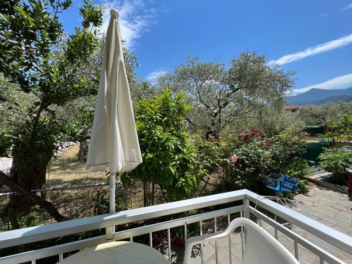 Villa Eleni - Thassos Town エクステリア 写真