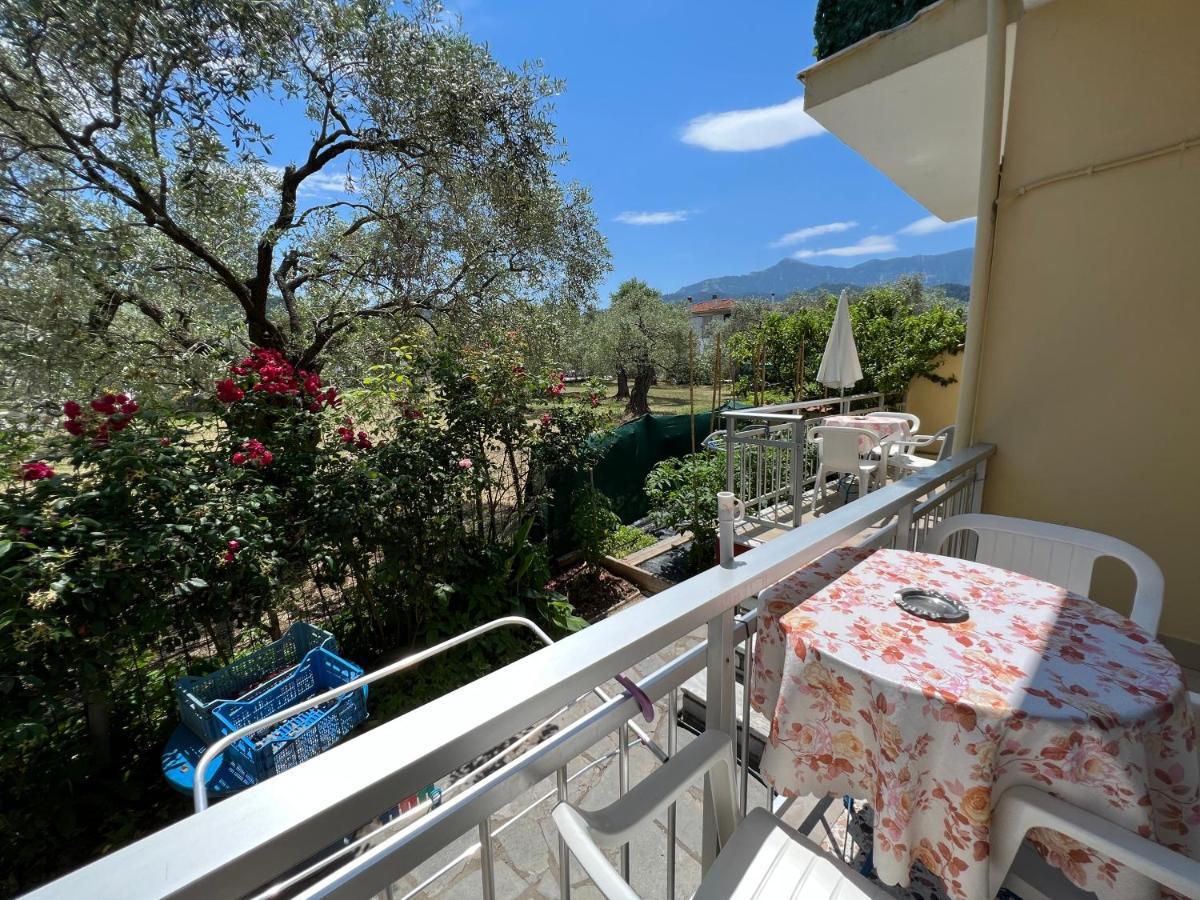 Villa Eleni - Thassos Town エクステリア 写真